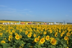 DSC_0029.JPG