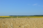 DSC_0251.JPG